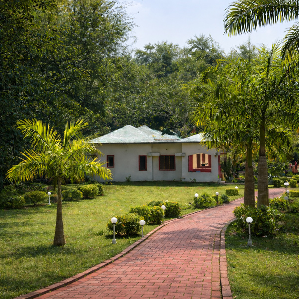 Forest View from Blackforest Resort Near Kanha Tiger Reserve