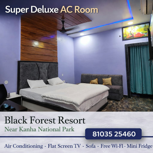 Super Deluxe AC Room